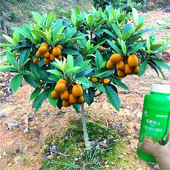 鍐滃か紼煎洯鐢熺墿鎶鏈湁闄愬叕鍙?7.jpg 鍐滃か紼煎洯鐢熺墿鎶鏈湁闄愬叕鍙?7.jpg