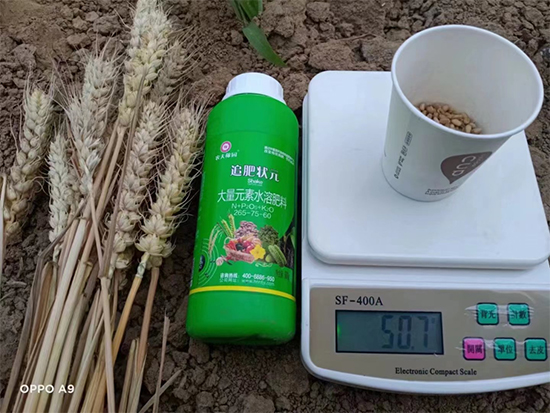 鍐滃か紼煎洯鐢熺墿鎶鏈湁闄愬叕鍙?3.jpg 鍐滃か紼煎洯鐢熺墿鎶鏈湁闄愬叕鍙?3.jpg