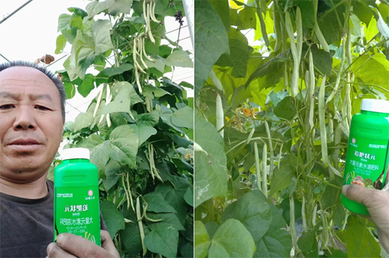 鍐滃か紼煎洯鐢熺墿鎶鏈湁闄愬叕鍙?2.jpg 鍐滃か紼煎洯鐢熺墿鎶鏈湁闄愬叕鍙?2.jpg