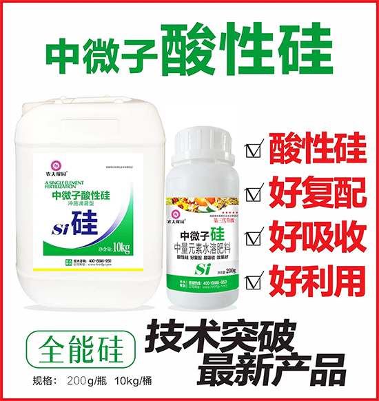 鏈爣棰?1.jpg 鏈爣棰?1.jpg